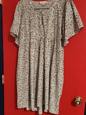 1XL Umgee Cream Floral Swing Dress with Blue and Red Accents